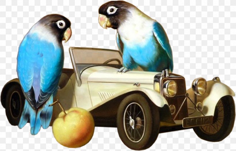 Lovebird Cockatiel Parakeet E-card, PNG, 1083x695px, Lovebird, Animal, Beak, Bird, Budgerigar Download Free