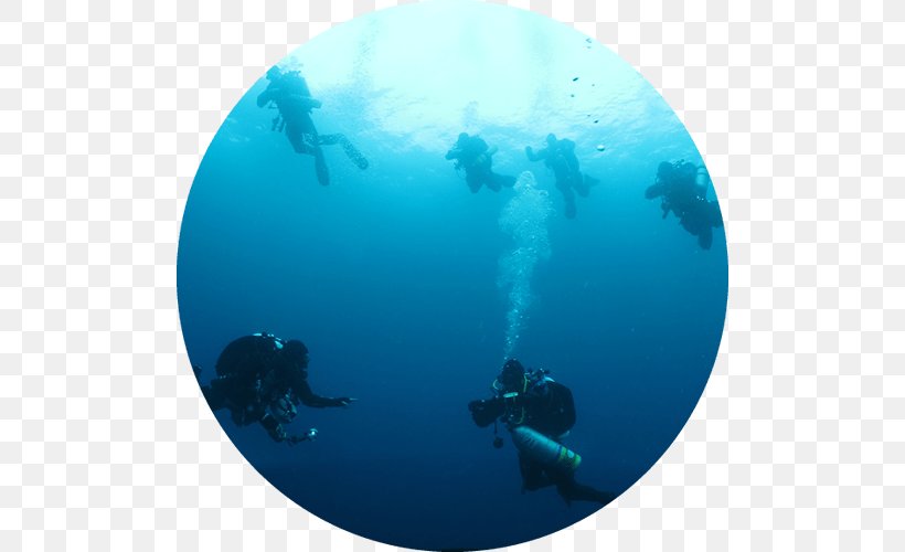 Scuba Diving Underwater Diving Cycling Bicycle Professional Association Of Diving Instructors, PNG, 500x500px, Scuba Diving, Aqua, Bicycle, Certification, Cycling Download Free
