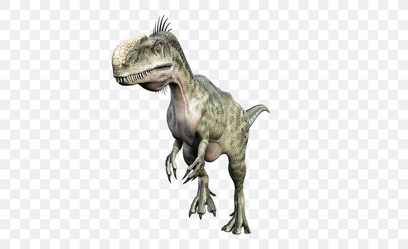 Tyrannosaurus Ceratosaurus Monolophosaurus Velociraptor Abelisaurus, PNG, 500x500px, 3d Rendering, Tyrannosaurus, Abelisaurus, Anchisaurus, Carnivore Download Free