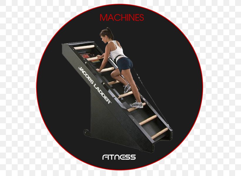 Exercise Equipment Aerobic Exercise Exercise Machine Fitness Centre, PNG, 600x600px, Exercise Equipment, Aerobic Exercise, Elliptical Trainers, Exercise, Exercise Machine Download Free