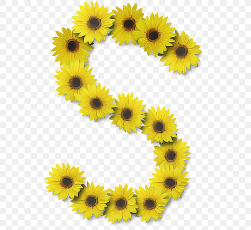 Flower Alphabet, PNG, 531x753px, Alphabet, Asterales, Common Sunflower, Daisy Family, Flower Download Free