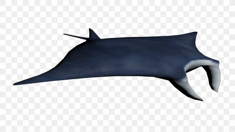 Giant Oceanic Manta Ray Myliobatoidei, PNG, 1280x720px, Giant Oceanic Manta Ray, Batoidea, Cartilaginous Fish, Fish, Internet Media Type Download Free