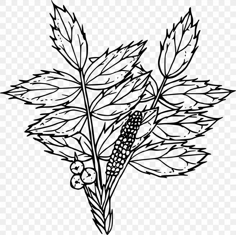 Flower Drawing Line Art Clip Art, PNG, 1931x1920px, Flower, Art, Artwork, Black And White, Branch Download Free
