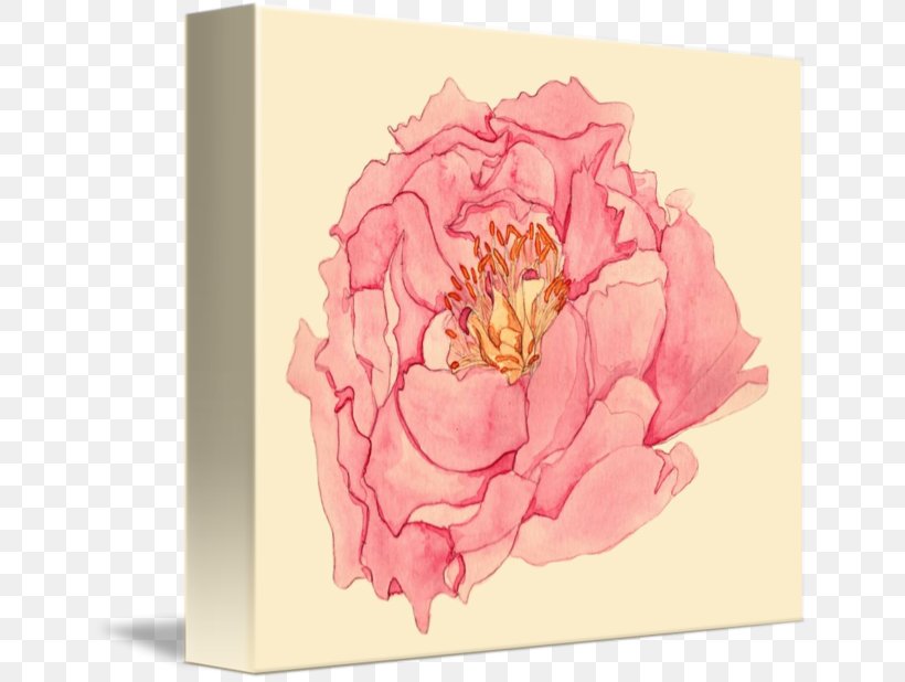 Peony Flower Garden Roses Floral Design Tulips In A Vase, PNG, 650x618px, Peony, Centifolia Roses, Cut Flowers, Floral Design, Floristry Download Free