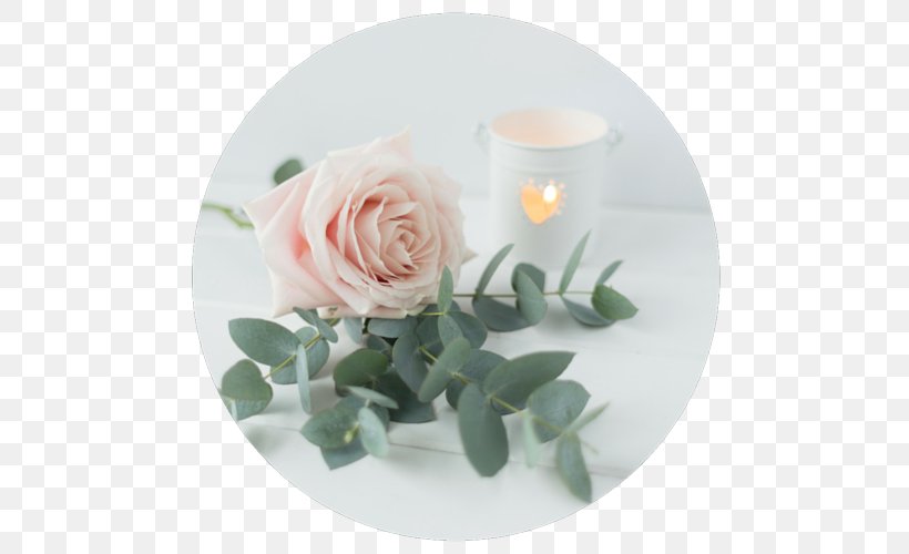 The Montrose Studios Garden Roses Flower Houston Press Floral Design, PNG, 500x500px, Garden Roses, Artificial Flower, Cut Flowers, Dishware, Floral Design Download Free