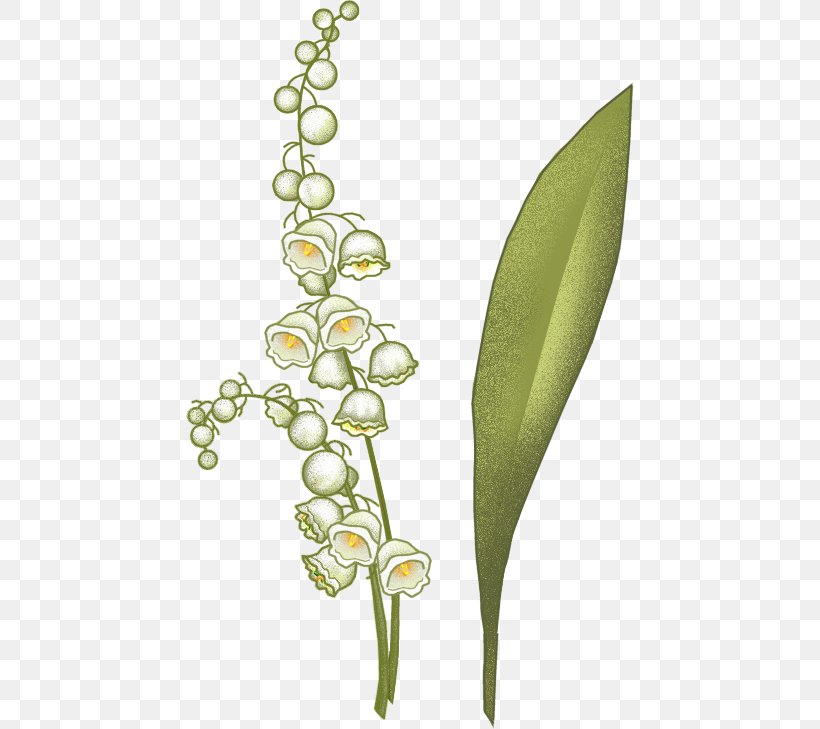 Arum-lily Flowering Plant Plant Stem Plants, PNG, 449x729px, Arumlily, Arums, Calla Lily, Flora, Flower Download Free