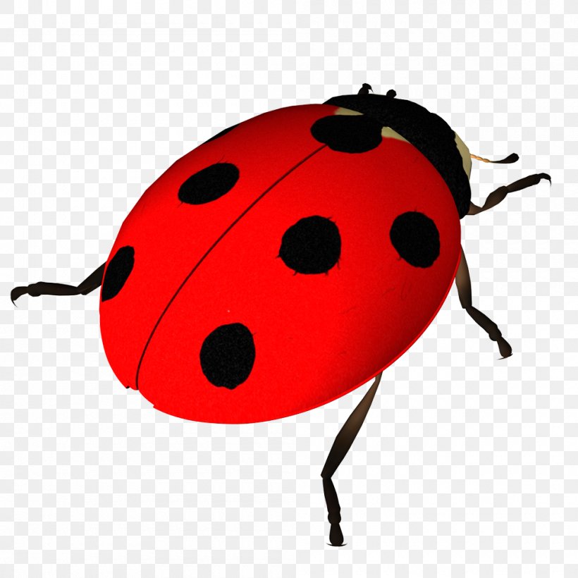 Beetle Clip Art Image Seven-spot Ladybird, PNG, 1000x1000px, Beetle, Arthropod, Coccinella, Coccinella Novemnotata, Insect Download Free