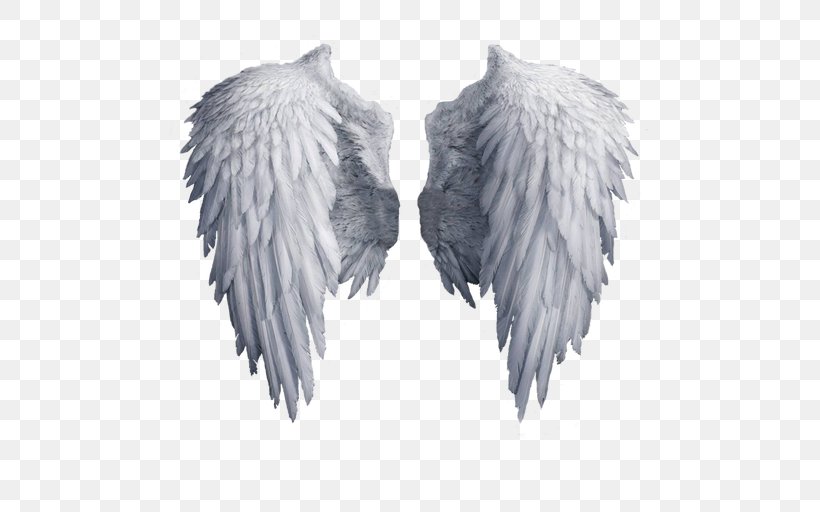 Beginners Guide To Angels Clip Art, PNG, 512x512px, Drawing, Angel, Angel Wing, Black And White, Feather Download Free