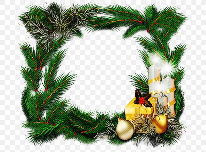 Christmas Decoration, PNG, 699x608px, Oregon Pine, Branch, Christmas, Christmas Decoration, Christmas Eve Download Free