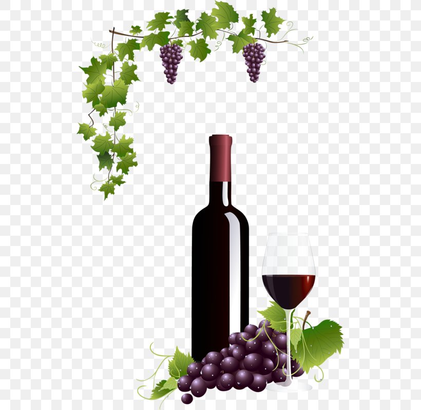 Common Grape Vine Wine Glass Red Wine, PNG, 522x800px, Grape, Barware, Bottle, Common Grape Vine, Drinkware Download Free