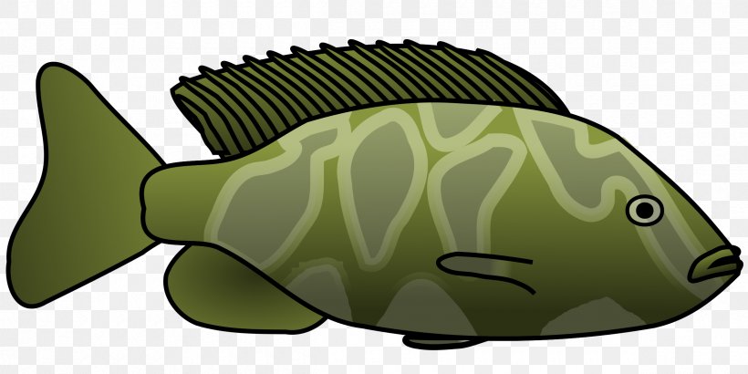 Fish YouTube Clip Art, PNG, 2400x1200px, Fish, Fauna, Fish Fin, Green, Green Fish Download Free
