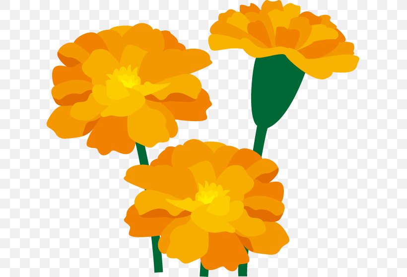 Marigold Flower Art Clip Art, PNG, 631x558px, Marigold, Annual Plant, Art, Calendula, Calendula Officinalis Download Free