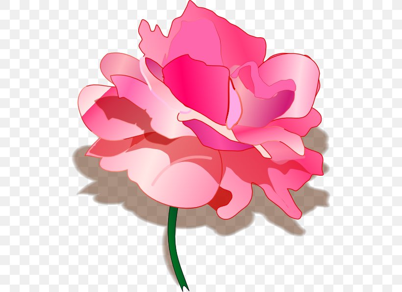 Rose Clip Art, PNG, 528x595px, Rose, Art, Cut Flowers, Drawing, Floral Design Download Free