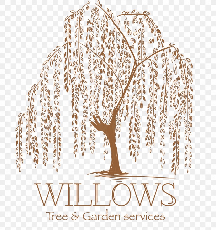 Weeping Willow Tattoo Artist Tree Drawing, PNG, 1574x1671px, Weeping Willow, Body Art, Brand, Chinese Calligraphy Tattoos, Deciduous Download Free