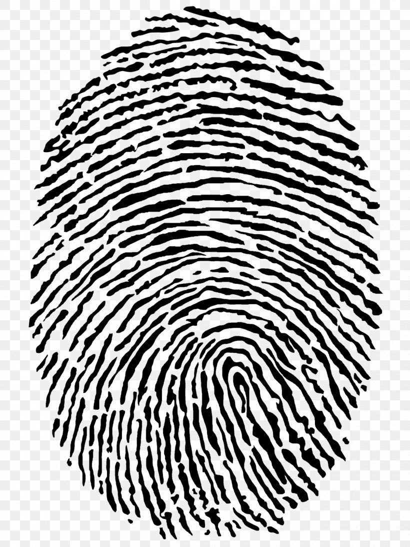 Fingerprint Computer Security Biometrics Technology Network Security, PNG, 1200x1600px, Fingerprint, Area, Biometrics, Black, Black And White Download Free