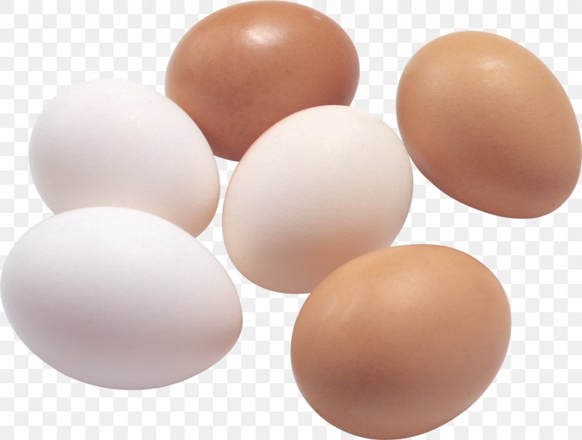 Fried Egg Deviled Egg Egg White, PNG, 1600x1211px, Fried Egg, Boiled Egg, Deviled Egg, Easter Egg, Egg Download Free