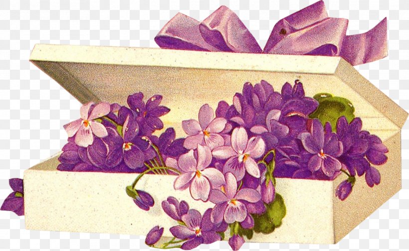 Post Cards Flower Paper France Clip Art, PNG, 1165x717px, Post Cards, Antique, Christmas Card, Cut Flowers, Decoupage Download Free