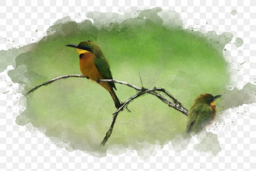 Bird Watercolor Painting Art Museum, PNG, 1500x1002px, Bird, Art, Art Museum, Beak, Birdwatching Download Free
