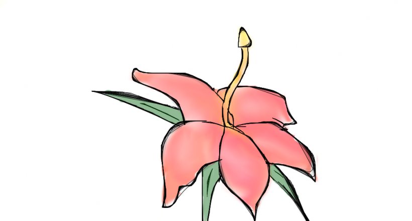 Flower Drawing Clip Art, PNG, 1006x541px, Flower, Art, Blog, Christmas In Hawaii, Color Download Free