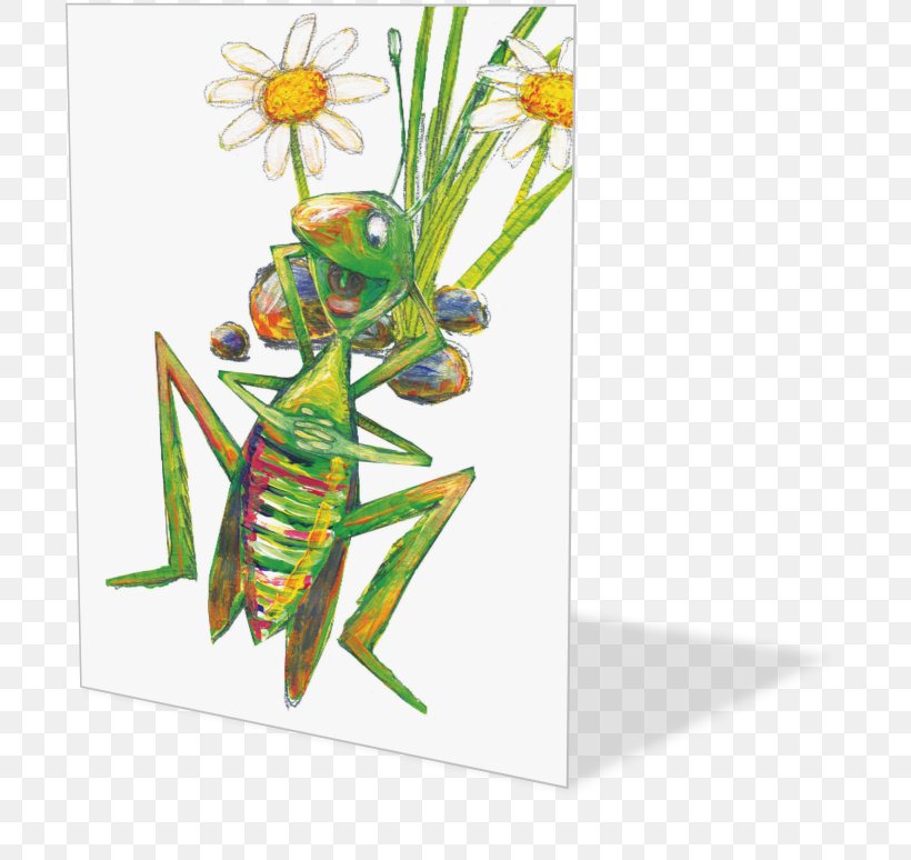 Insect Pollinator Pest Membrane, PNG, 705x774px, Insect, Arthropod, Grass, Invertebrate, Membrane Download Free