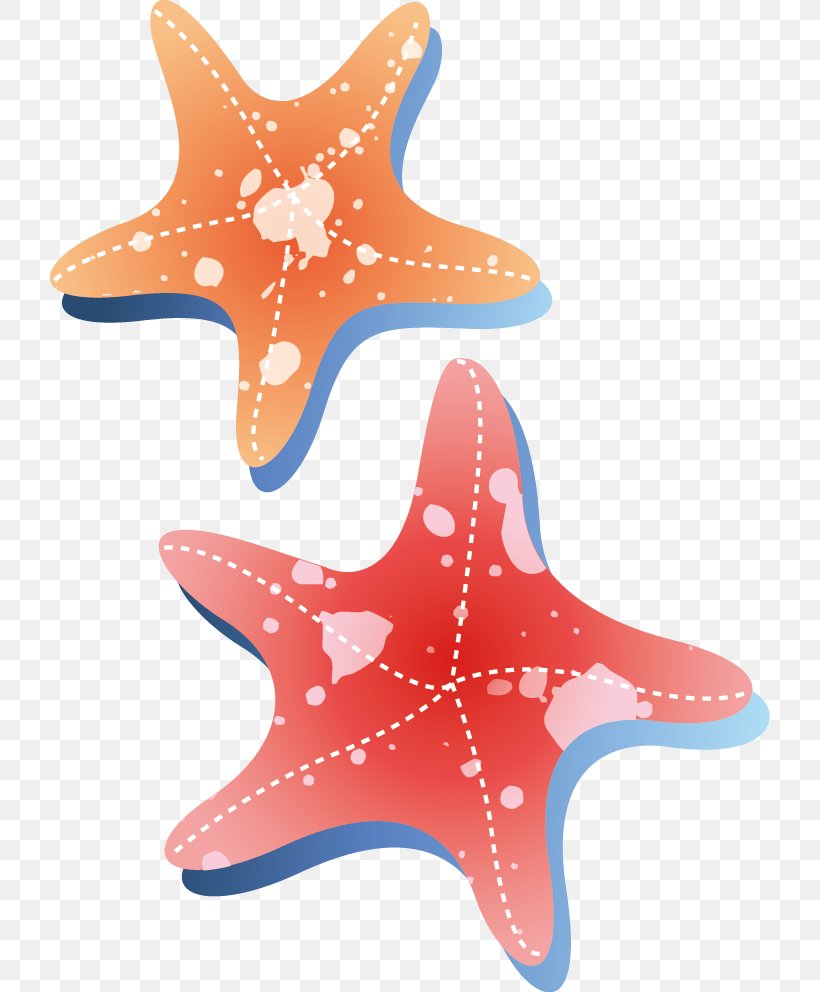 Starfish, PNG, 720x992px, Starfish, Echinoderm, Invertebrate, Marine Invertebrates, Orange Download Free