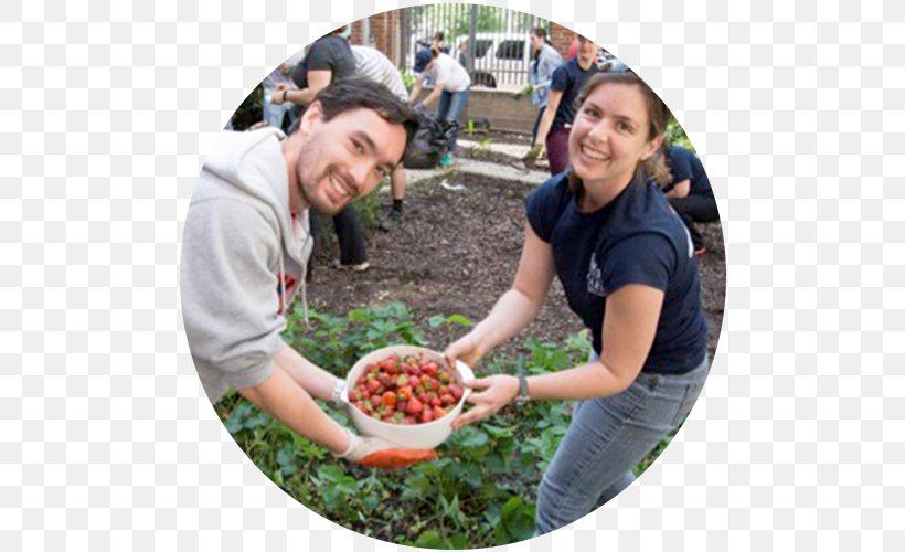 Volunteering N Street Village Food Eating Cuisine, PNG, 500x500px, Volunteering, Community, Cuisine, Dish, Eating Download Free