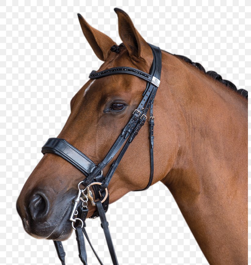 Double Bridle Horse Saddle Equestrian, PNG, 800x865px, Bridle, Bit, Bitless Bridle, Double Bridle, Dressage Download Free