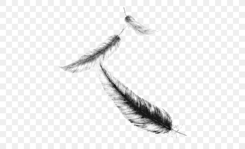 Feather Drawing Maximum Ride Sketch, PNG, 500x500px, Feather, Art, Black And White, Deviantart, Drawing Download Free