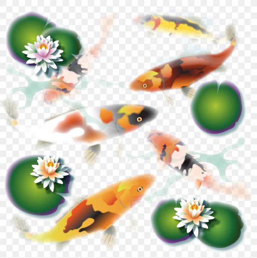 Fish .cf, PNG, 867x870px, Fish, Orange, Organism Download Free