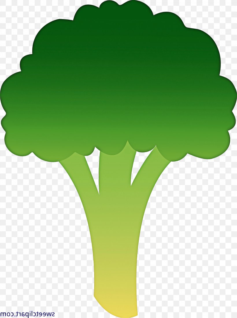 Green Leaf Background, PNG, 2236x3000px, Tree, Broccoli, Green, Leaf, Leaf Vegetable Download Free