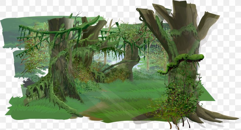 Jungle Euclidean Vector, PNG, 3987x2164px, Jungle, Flora, Forest, Grass, Houseplant Download Free