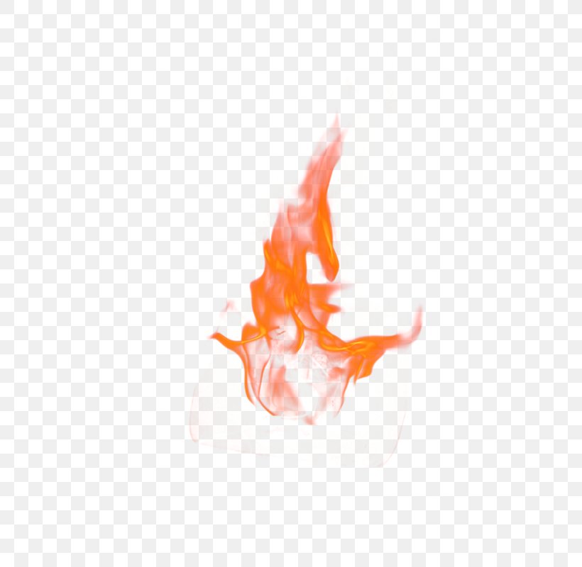 Fire Flame Download, PNG, 722x800px, Fire, Combustion, Conflagration, Flame, Orange Download Free