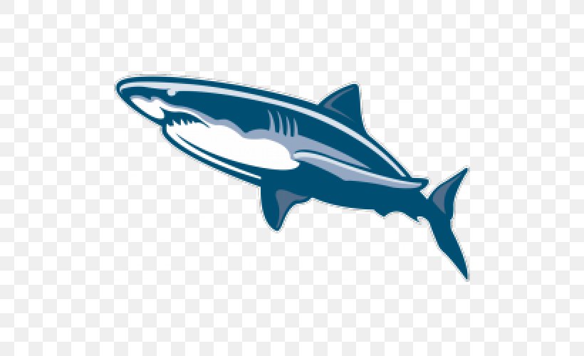Sand Tiger Shark Great White Shark Clip Art, PNG, 500x500px, Tiger Shark, Automotive Design, Cartilaginous Fish, Dolphin, Fin Download Free