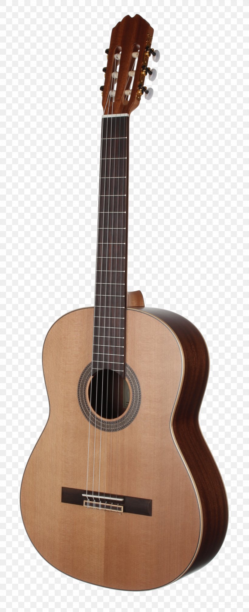 Acoustic Guitar Bass Guitar Tiple Cuatro Cavaquinho, PNG, 1500x3684px, Watercolor, Cartoon, Flower, Frame, Heart Download Free