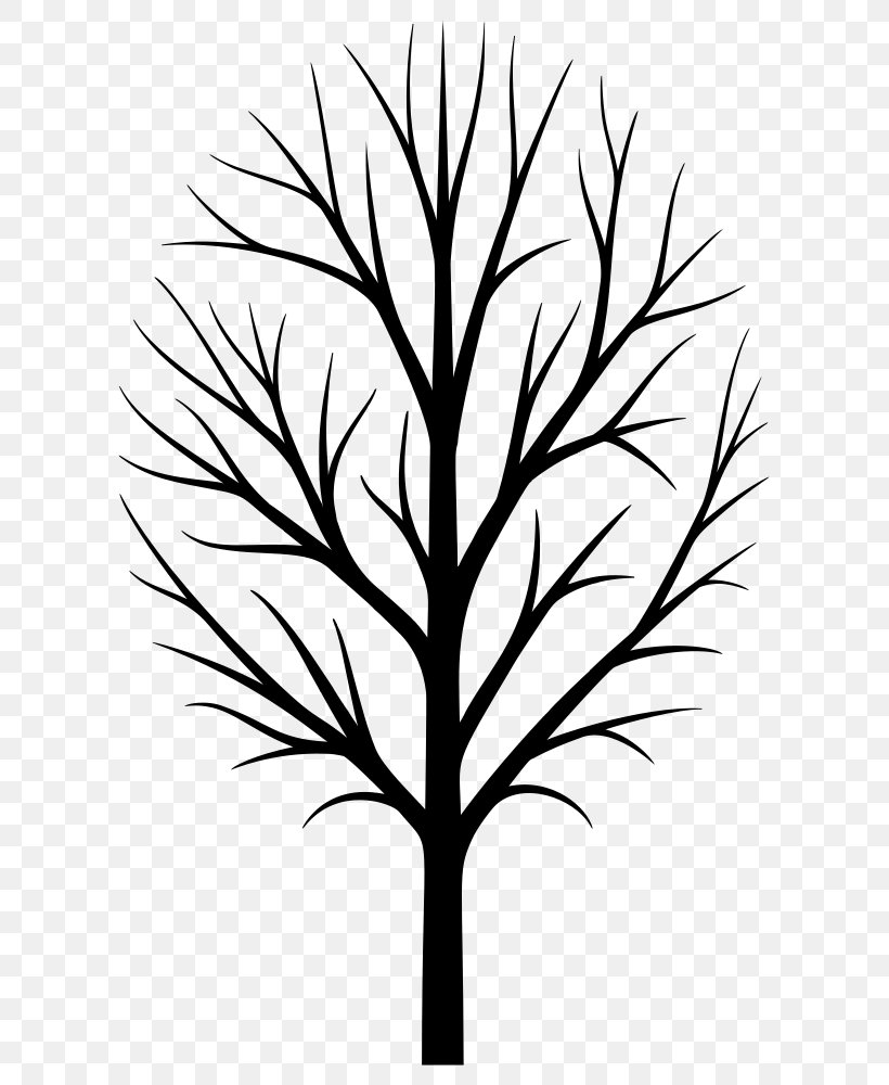 Family Tree Silhouette, PNG, 641x1000px, Tree, American Larch, Birch, Blackandwhite, Branch Download Free