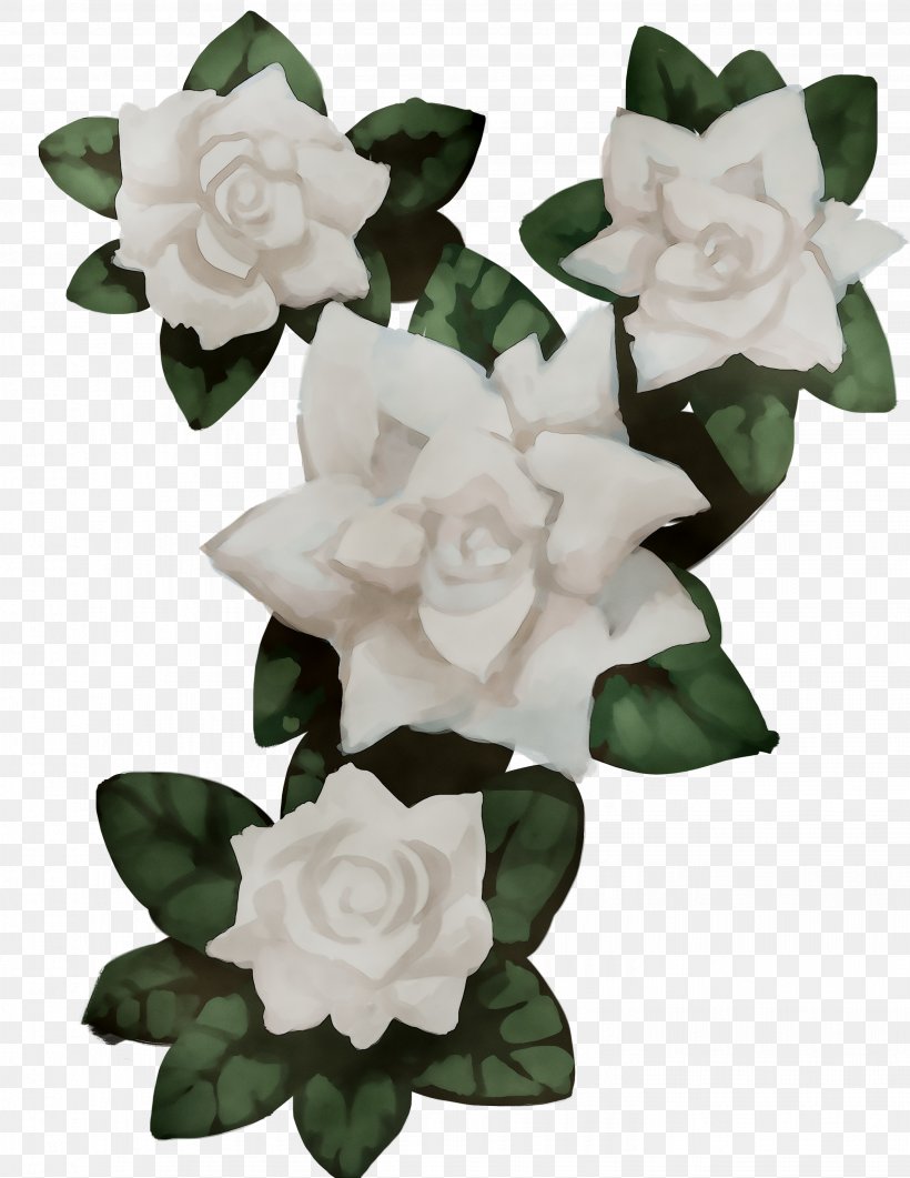 Gardenia Cut Flowers, PNG, 2881x3728px, Gardenia, Artificial Flower, Cut Flowers, Flower, Flowering Plant Download Free