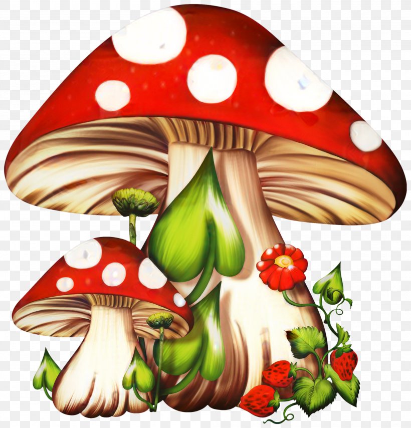Clip Art Illustration Christmas Ornament Flowering Plant Fruit, PNG, 1999x2082px, Christmas Ornament, Agaric, Agaricaceae, Agaricomycetes, Agaricus Download Free