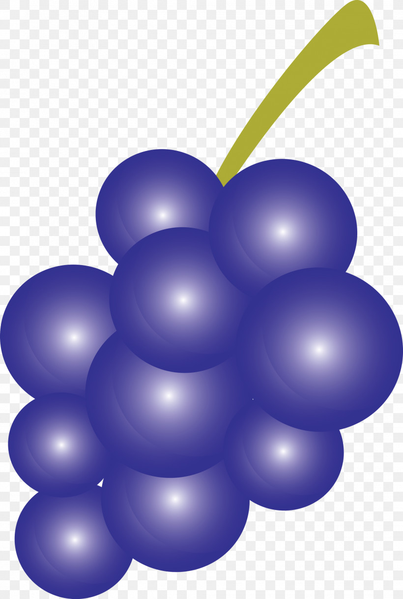 Grape Purple, PNG, 2018x2999px, Grape, Purple Download Free