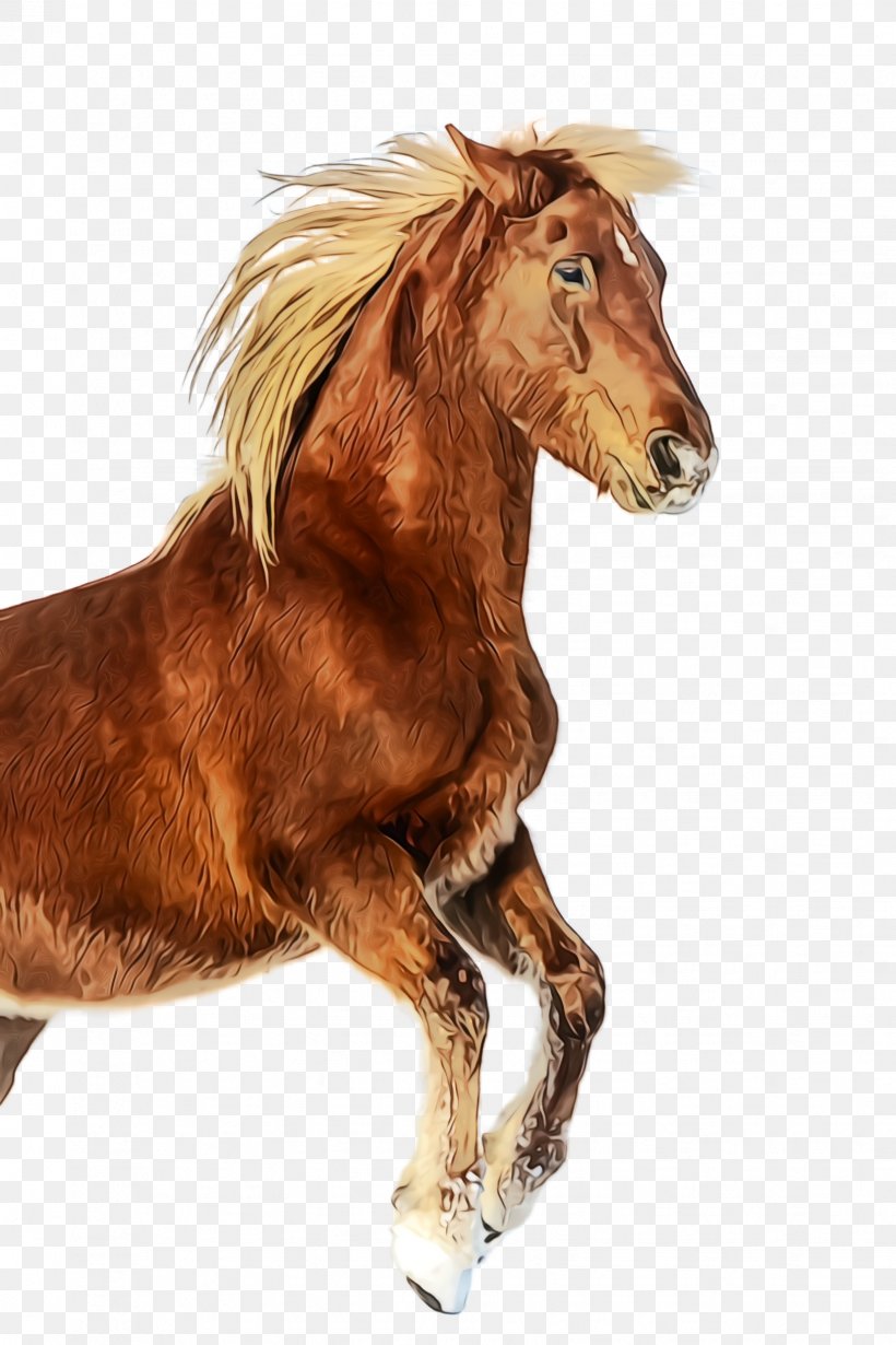 Horse Sorrel Mane Mustang Horse Stallion, PNG, 1632x2448px, Watercolor, Animal Figure, Horse, Mane, Mare Download Free