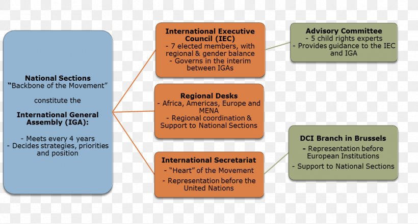 Organizational Chart Organizational Structure Secretary, PNG, 1296x697px, Organizational Chart, Assemblea Generale, Brand, Chart, Commonwealth Of Independent States Download Free