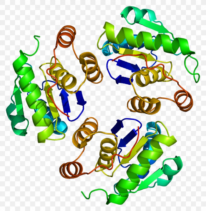 PTP4A1 ATF7 Protein Gene Geranylgeranyltransferase Type 1, PNG, 856x875px, Watercolor, Cartoon, Flower, Frame, Heart Download Free