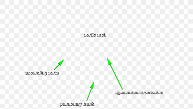 Brand Diagram Line, PNG, 885x500px, Brand, Diagram, Document, Grass, Green Download Free