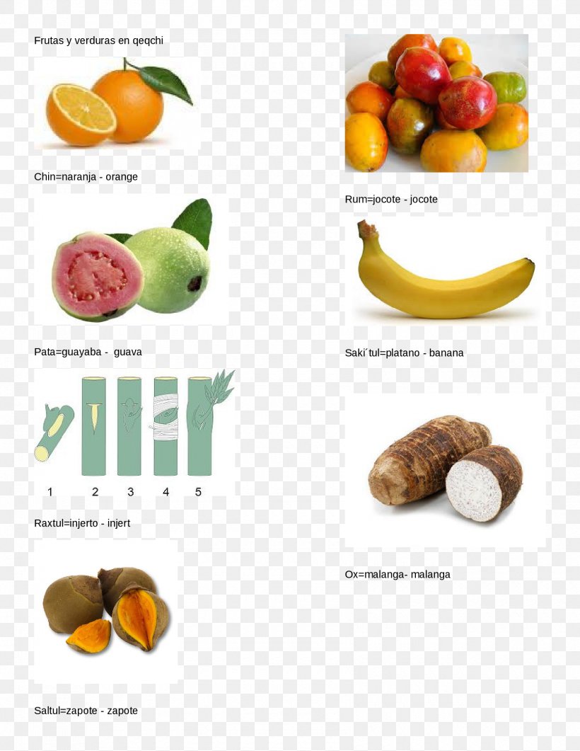Peel Vegetarian Cuisine Fruit Q'eqchi' Language Geometric Shape, PNG, 1700x2200px, Peel, Banana, Brand, Diet Food, Food Download Free