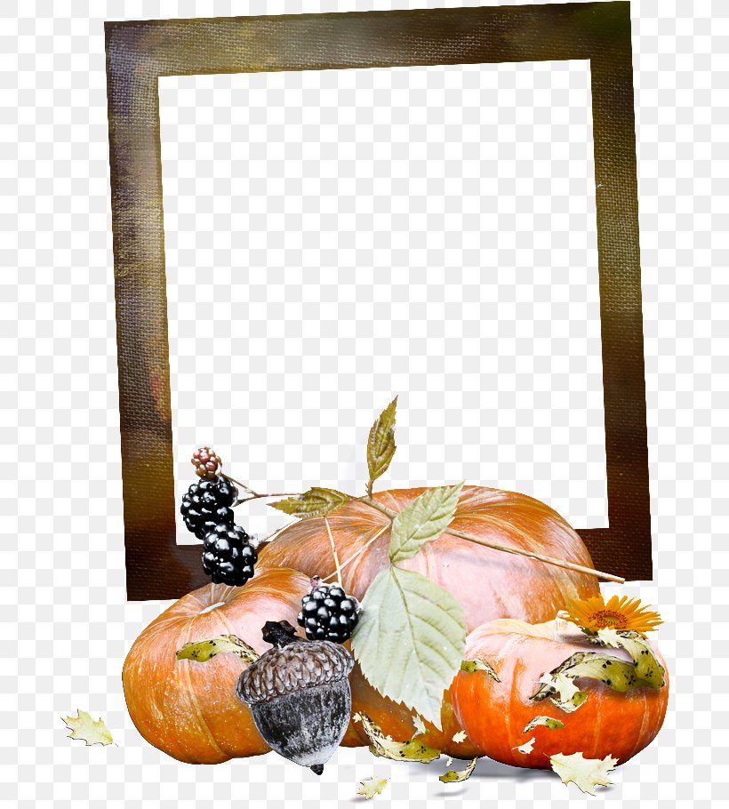 Picture Frame, PNG, 700x910px, Orange, Fruit, Leaf, Picture Frame, Plant Download Free