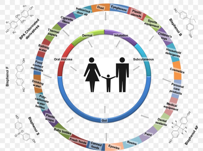 Bisphenol A Biomonitoring Graph Of A Function Homo Sapiens Natural Environment, PNG, 1457x1088px, Bisphenol A, Area, Biomonitoring, Bisfenol, Brand Download Free