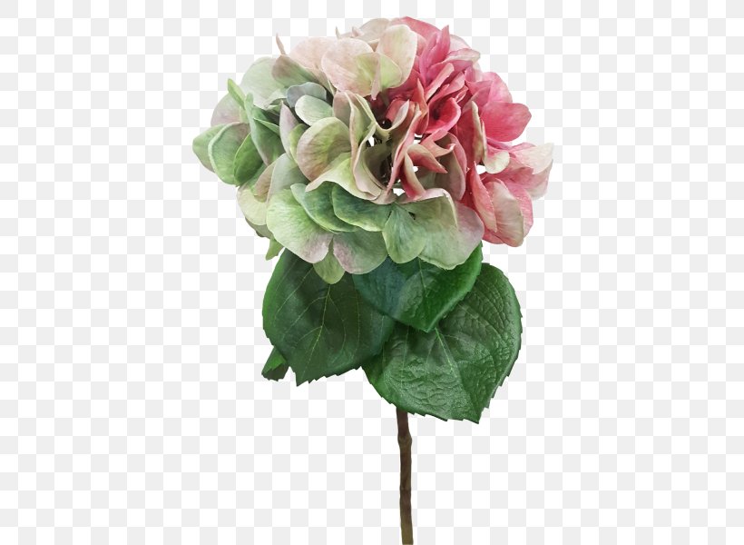 Cabbage Rose Garden Roses Cut Flowers Hydrangea, PNG, 800x600px, Cabbage Rose, Artificial Flower, Cornales, Cut Flowers, Flower Download Free