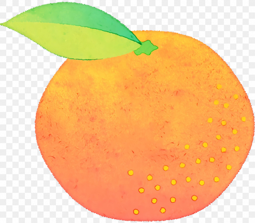 Citrus Apple Apple, PNG, 1596x1396px, Watercolor, Apple, Citrus, Paint, Wet Ink Download Free