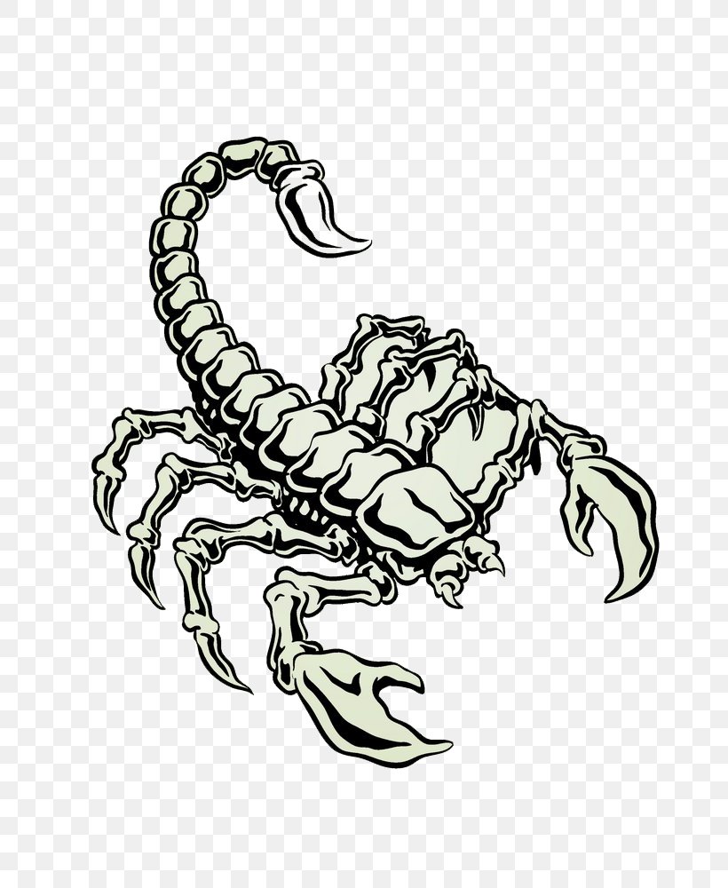 Scorpion Euclidean Vector Stock Photography, PNG, 771x1000px, Scorpion, Arthropod, Black And White, Drawing, Illustration Download Free