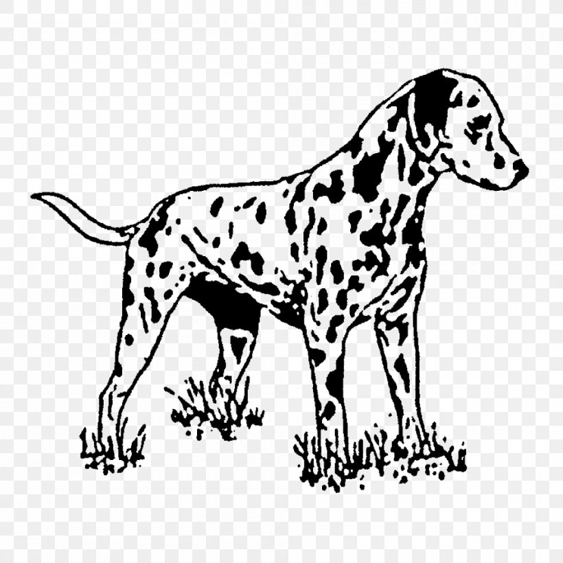 Dalmatian Dog Rubber Stamp Postage Stamps Plastic, PNG, 1000x1000px, Dalmatian Dog, Animal Figure, Art, Black And White, Canidae Download Free