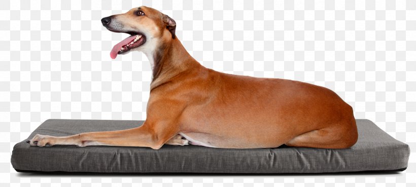 Dog Breed Italian Greyhound Beagle Longdog Bulldog, PNG, 1264x568px, Dog Breed, American Cocker Spaniel, Animal Figure, Beagle, Boxer Download Free